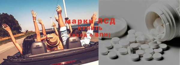 ГАЛЛЮЦИНОГЕННЫЕ ГРИБЫ Тавда