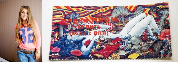 сатива Сясьстрой