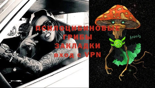 сатива Сясьстрой